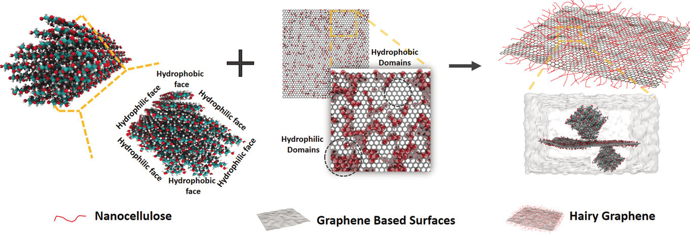 Wrapping Nanocellulose Nets around Graphene Oxide Sheets