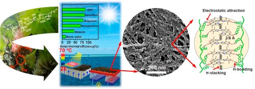 Intensifying solar-thermal harvest of low-dimension biologic nanostructures for electric power and solar desalination. Zong, L., Li, M., & Li, C. (2018). Nano energy, 50, 308-315.