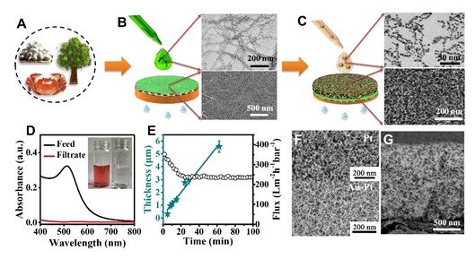 甲壳素纳米纤维的非衍生化剥离及应用最新进展