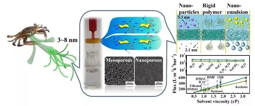 甲壳素纳米纤维的非衍生化剥离及应用最新进展