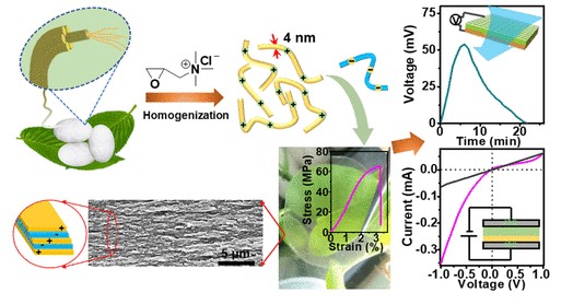 Quaternized Silk Nanofibrils for Electricity Generation from Moisture and Ion Rectification. ACS Nano, 2020, Weiqing Yang; Lili Lv; Xiankai Li; Xiao Han; Mingjie Li; Chaoxu Li, DOI: 10.1021/acsnano.0c04686