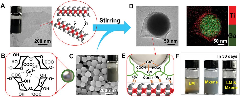 Two-Dimensionally Nano-Capsulating Liquid Metal for Self-Sintering and Self-Oscillating Bimorph Composites with Persistent Energy-Harvest Property, Advanced Functional Materials ,2023